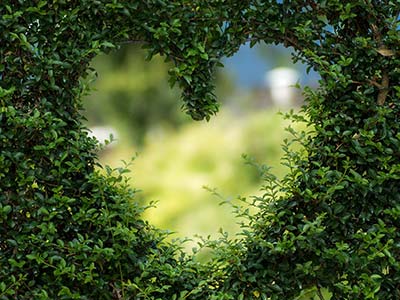 4 Romantik-Tage in Altlewin für 2 - Liebestrip auf dem Bauernhof - Romantikwochenende in der Natur
